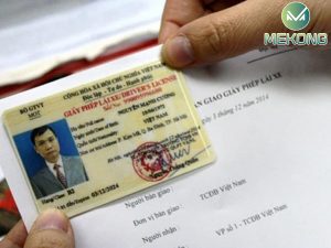 thong tin giay phep lai xe 3