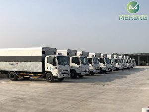 xe tap lai 1