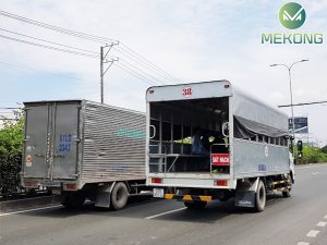 xe tap lai 14