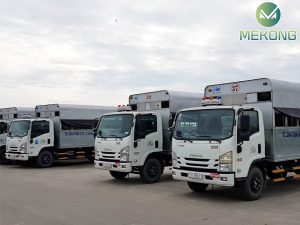 xe tap lai 9